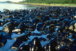Data-mining the 1989 Exxon Valdez oil spill